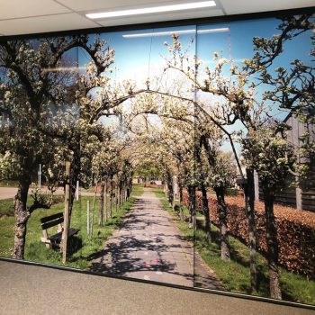 Wanddecoratie - GGzE