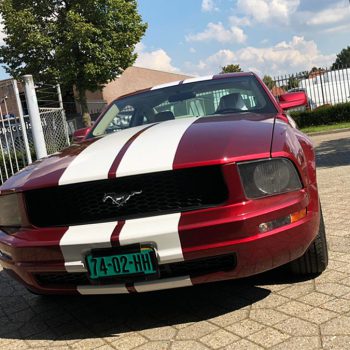 Striping - Ford mustang