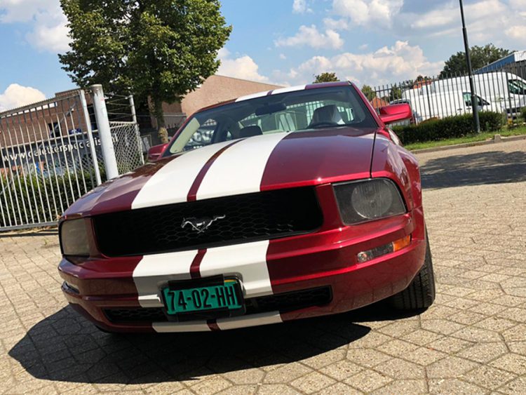 Striping - Ford mustang