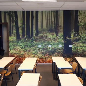 Wanddecoratie - Stedelijk College