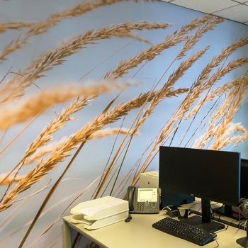 Wanddecoratie - Totaal kantoorinrichting